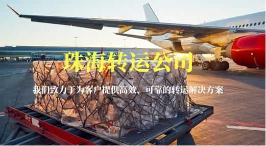 珠海轉(zhuǎn)運公司-征服全球！速度與激情的碰撞！