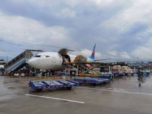 墨西哥FBA空運 墨西哥FBA空運